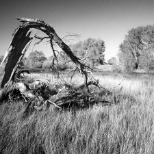 Great Sand Dunes National Par
